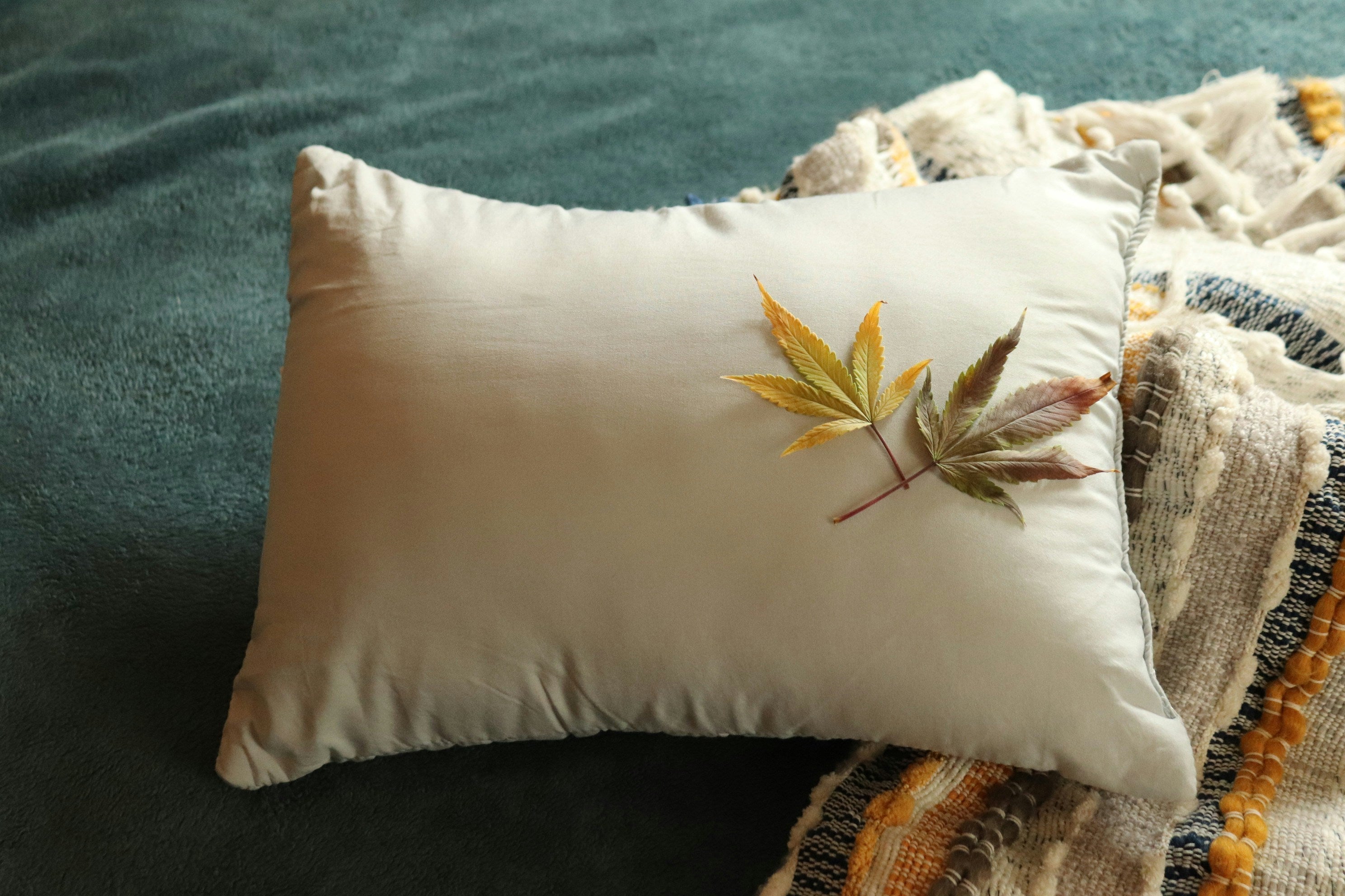 Eco-friendly pillows and sleep masks: how to sleep comfortably and eco-friendly